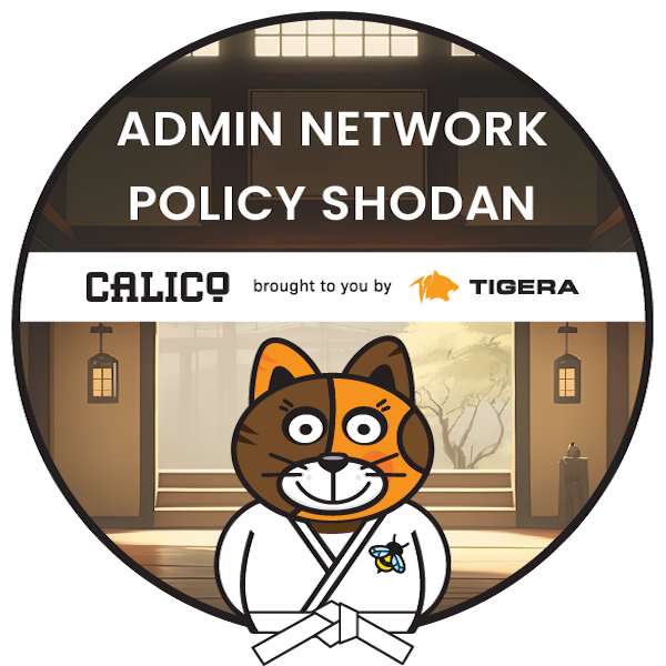 Kubernetes Admin Network Policy Shodan
