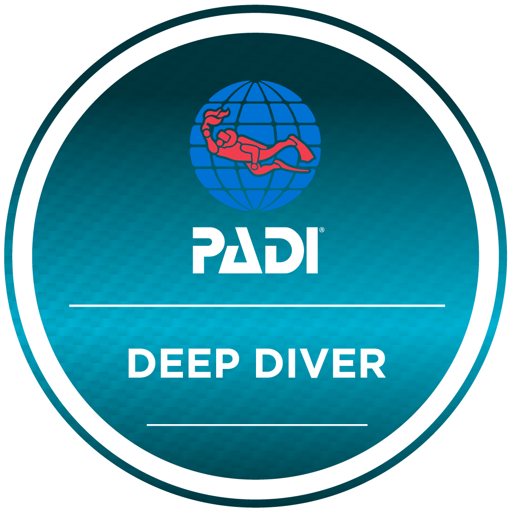 Deep Diver (v.4)