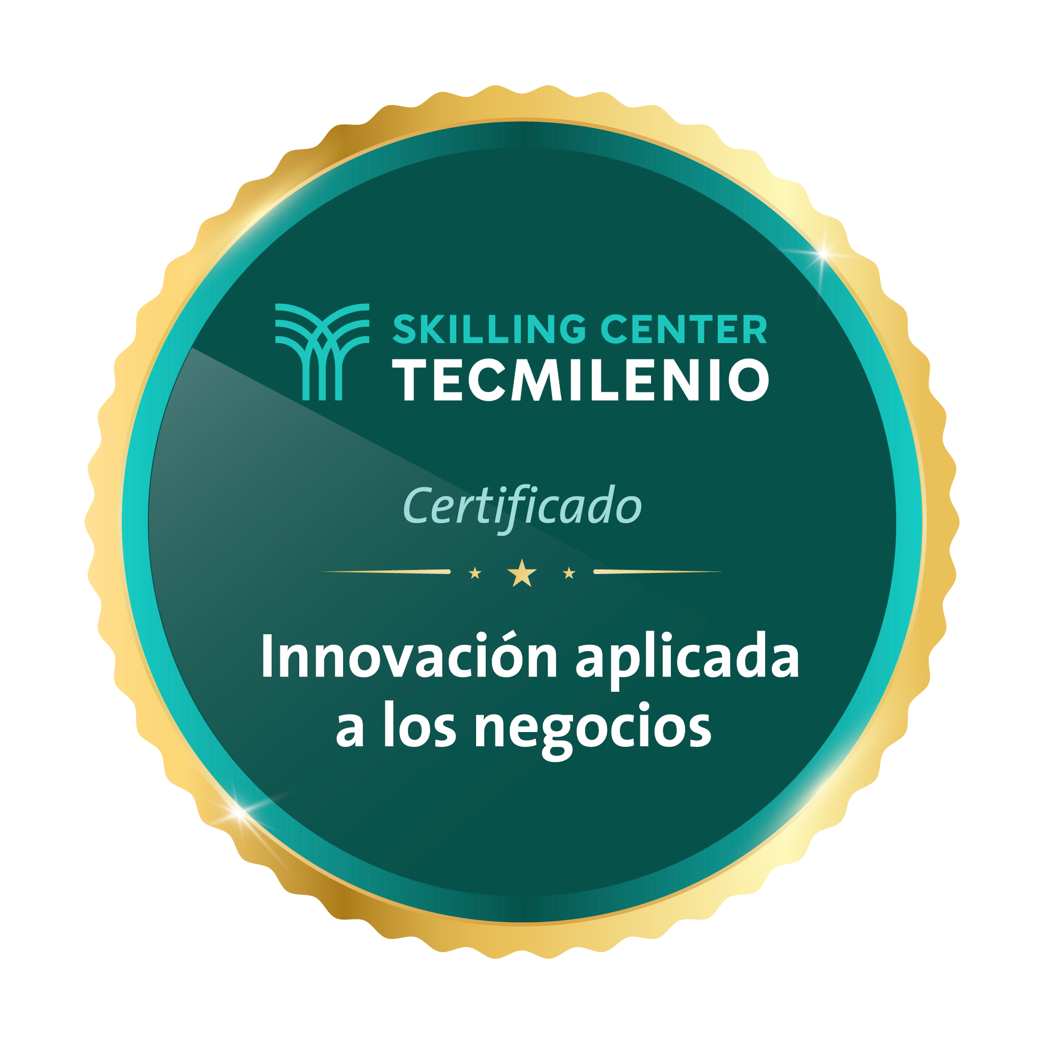Certificado Innovación aplicada a los negocios