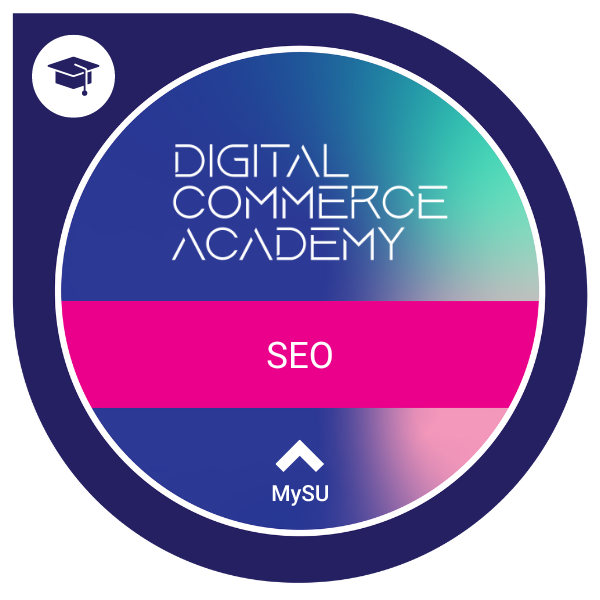 DCA Foundations - Search Engine Optimization Pathway