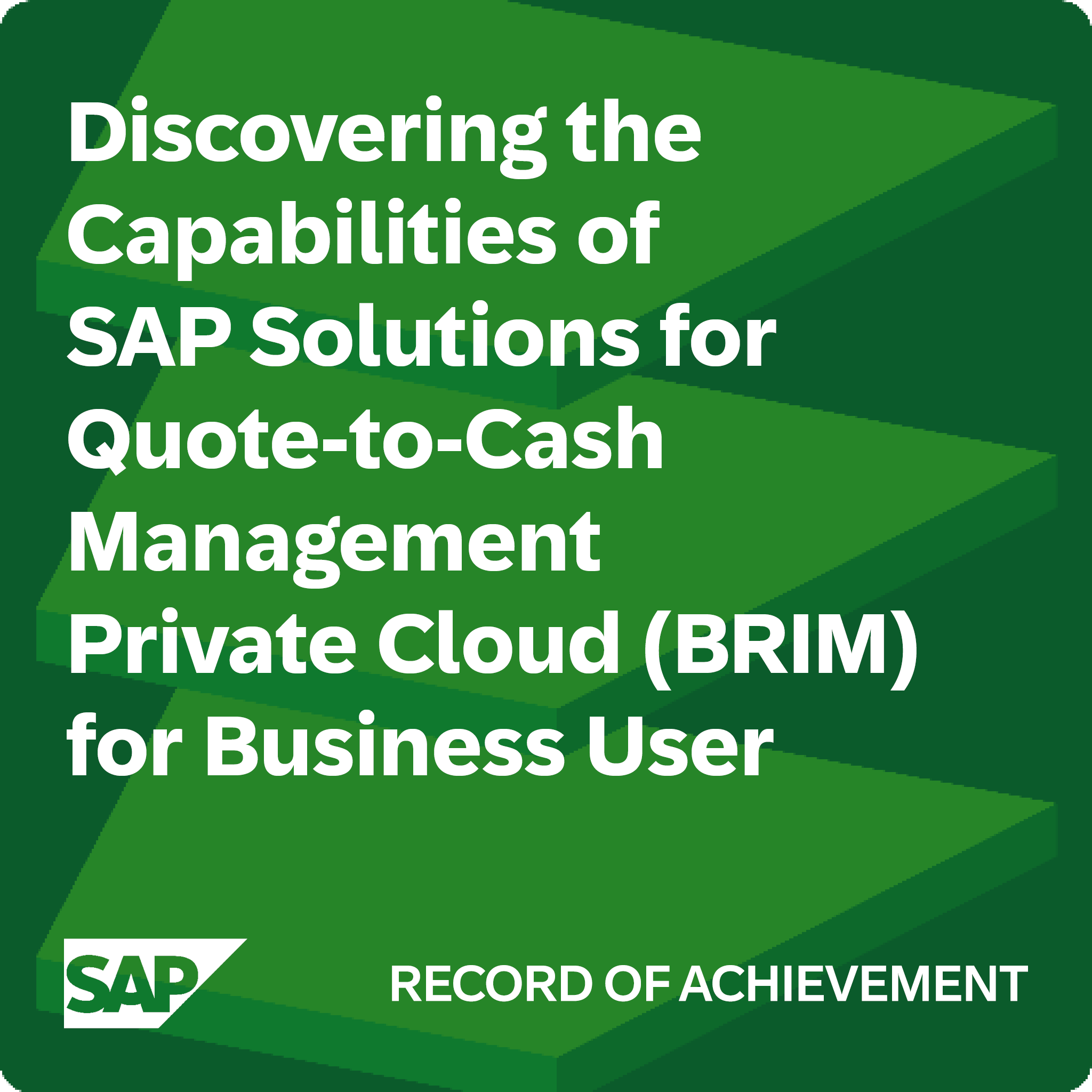 Discovering the Capabilities of SAP Solutions for Quote-to-Cash Management Private Cloud (BRIM) for Business User - Record of Achievement