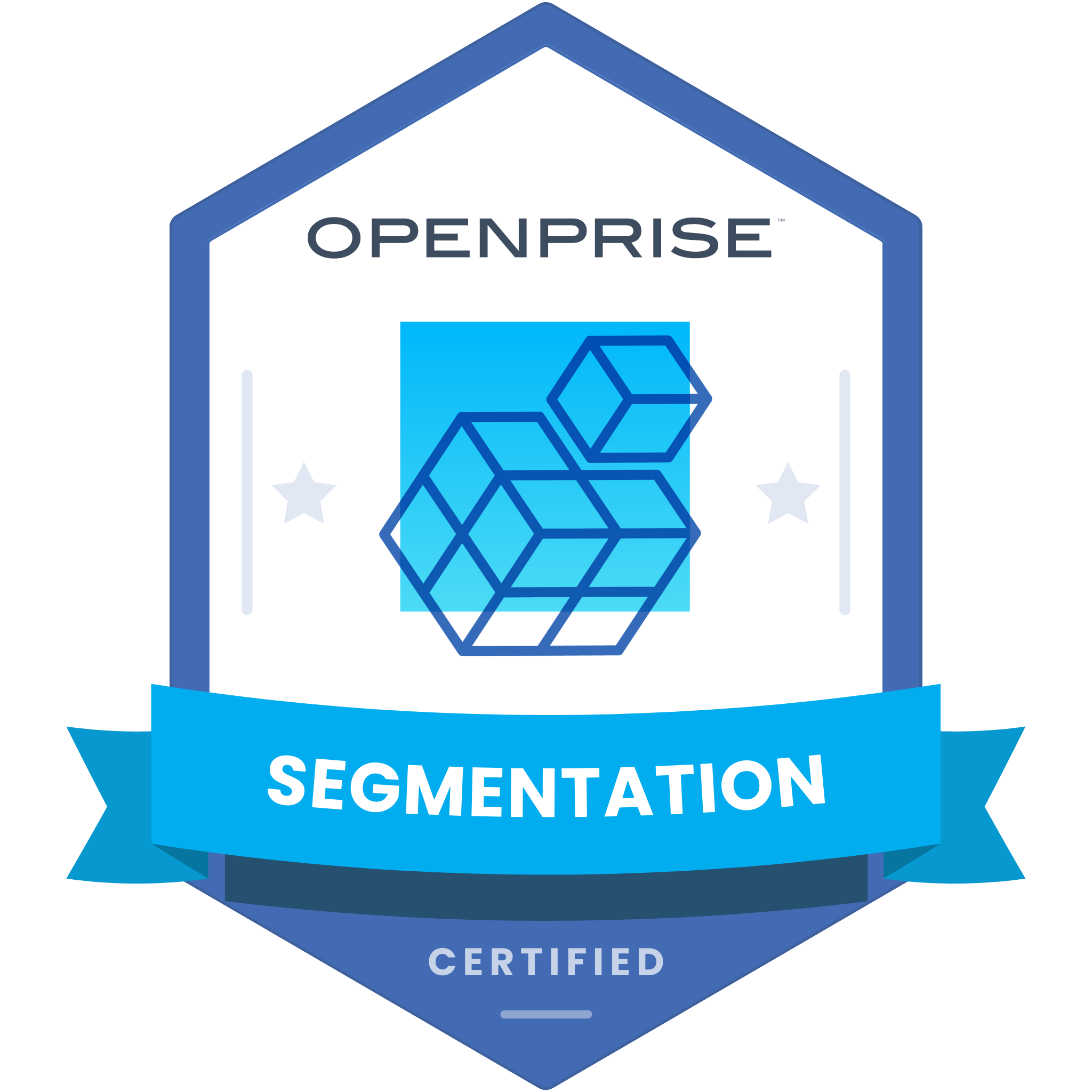 Openprise Segmentation Certified