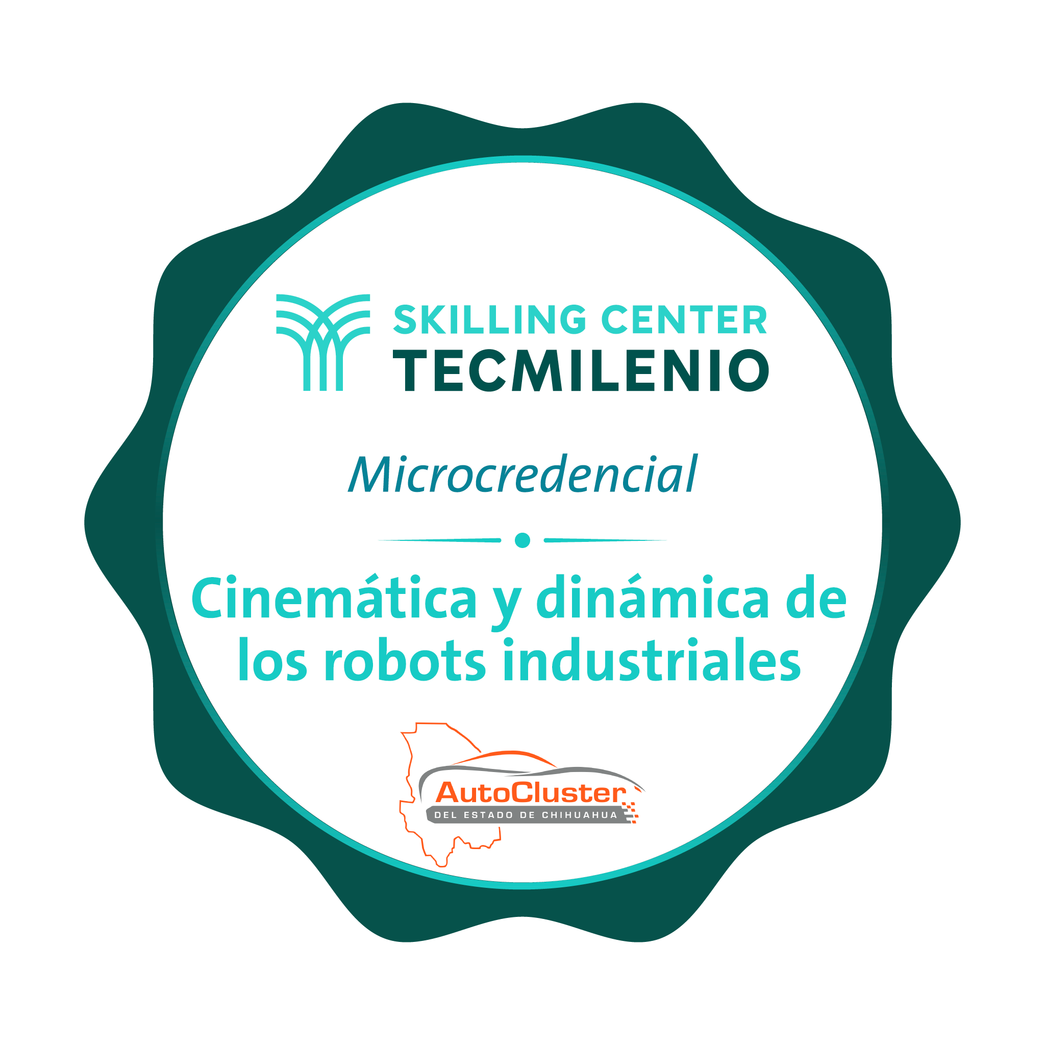 -Microcredencial Cinemática y dinámica de los robots industriales