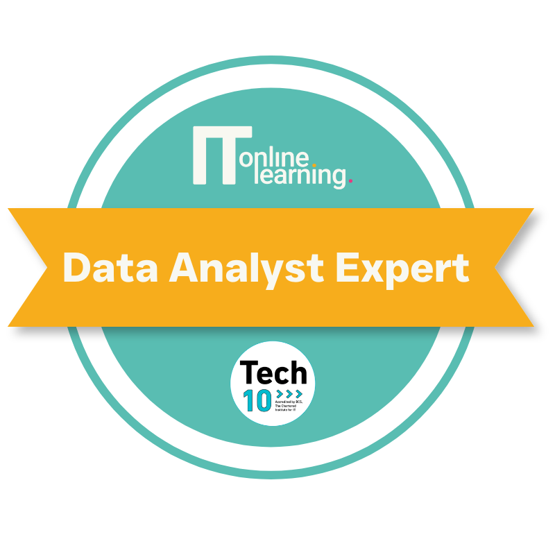 Data Analyst Expert