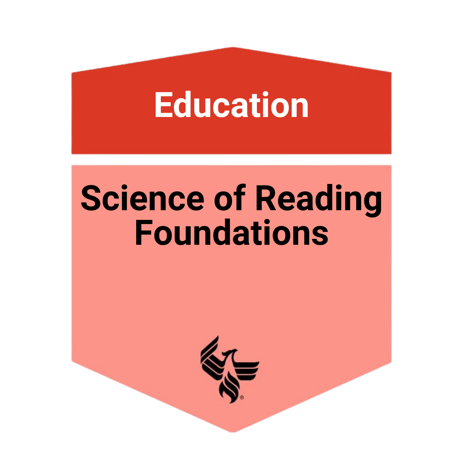 Science of Reading Foundations