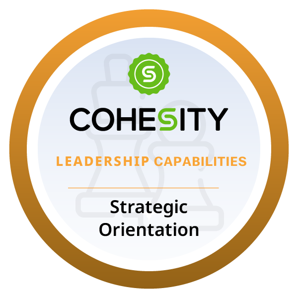 Strategic Orientation