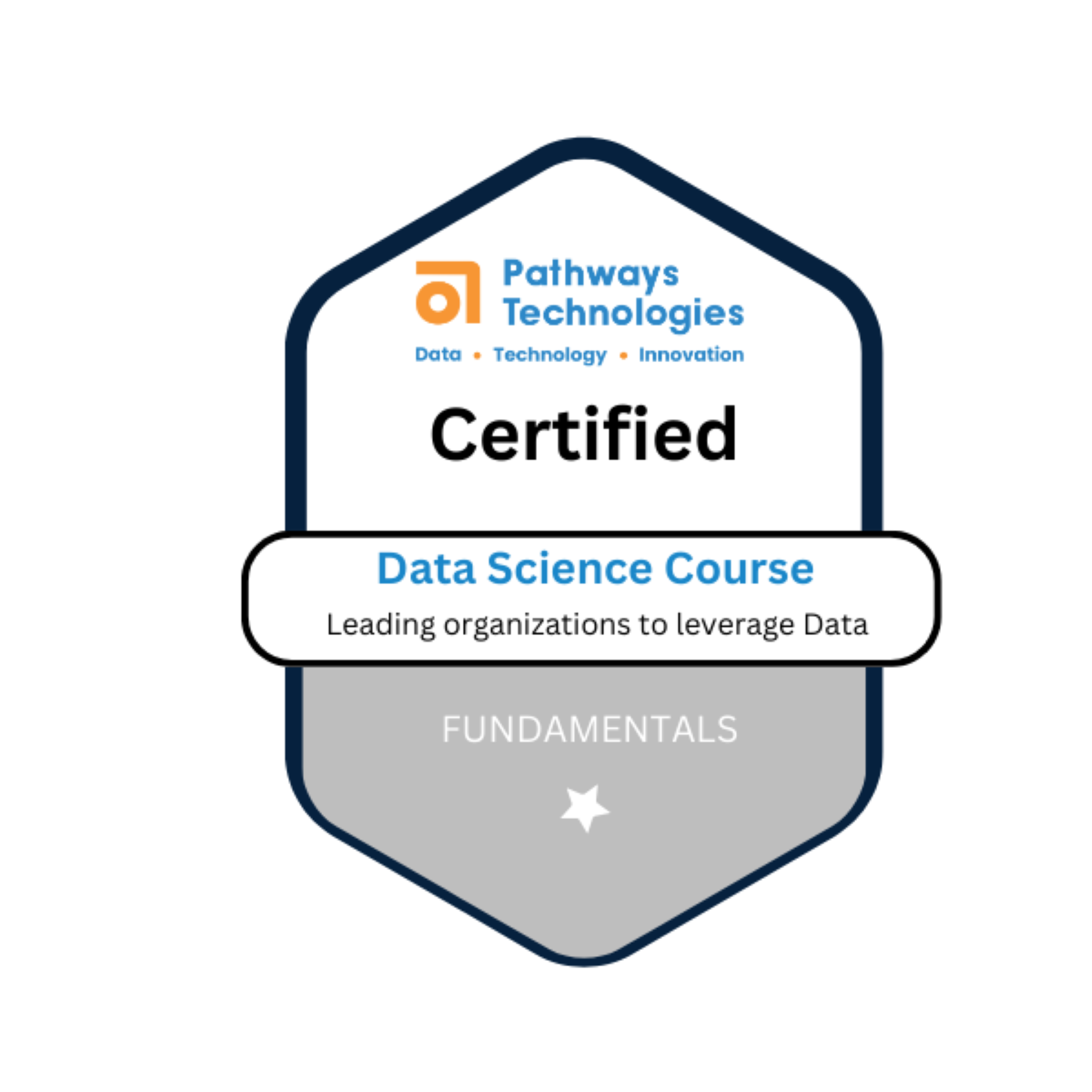 Data Science Foundation - Credly