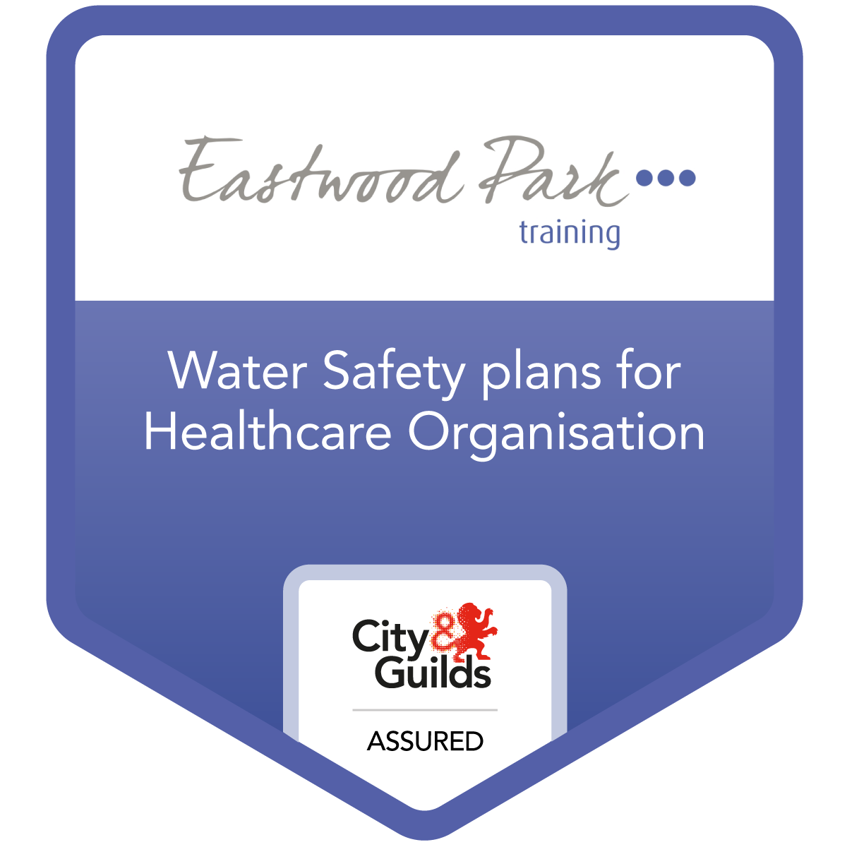 Water Safety Plans for Healthcare Organisations Credly
