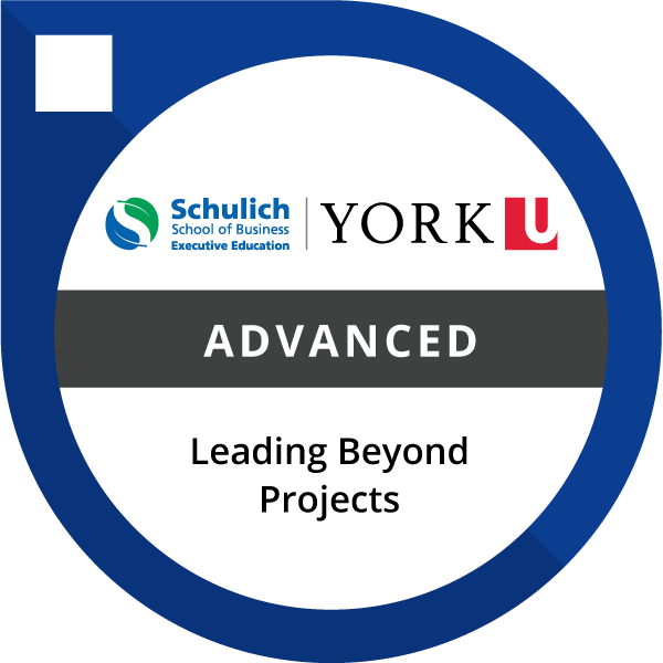 Leading Beyond Projects