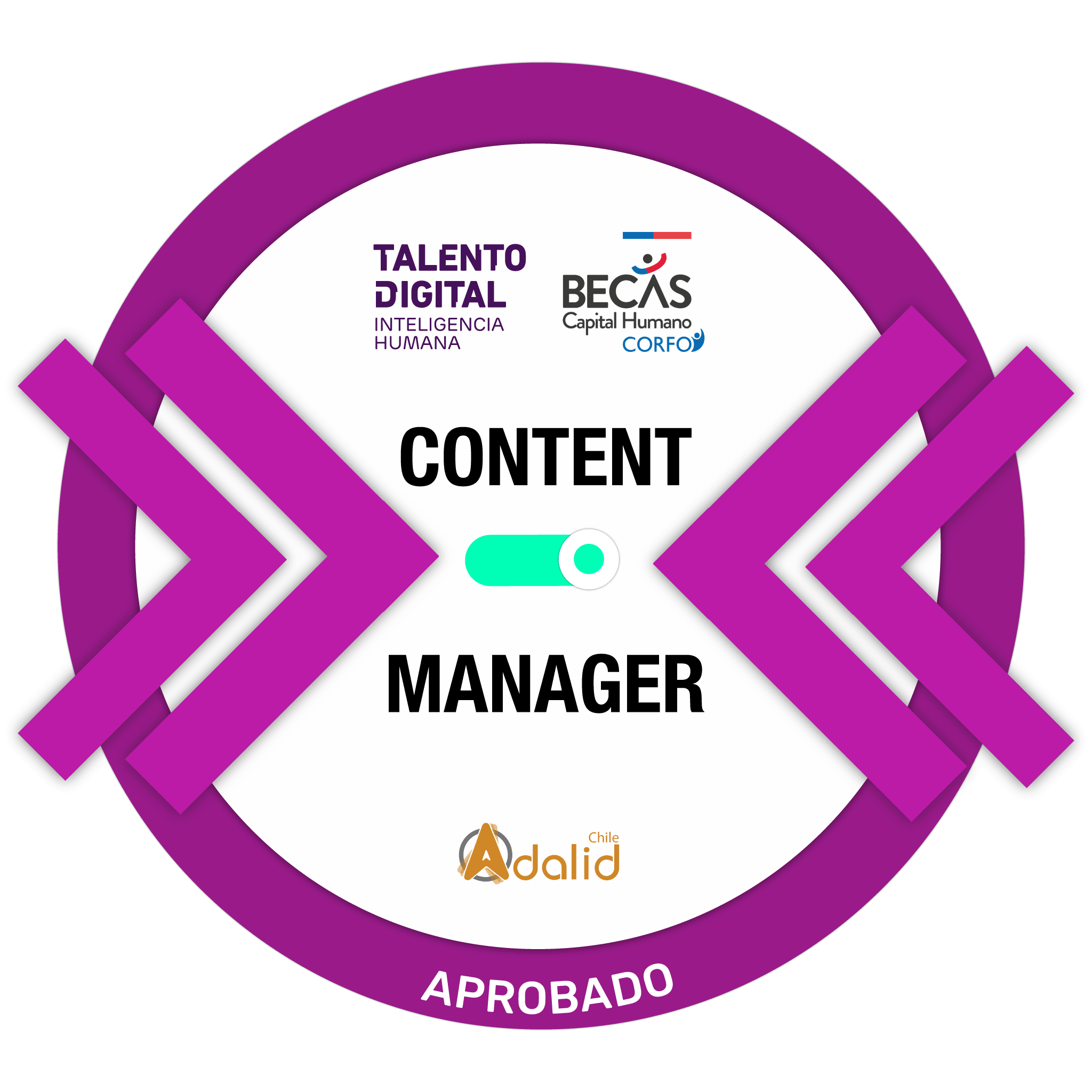 Content Manager | Talento Digital - Corfo