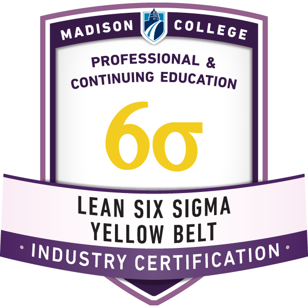 Lean Six Sigma Yellow Belt (v.01)