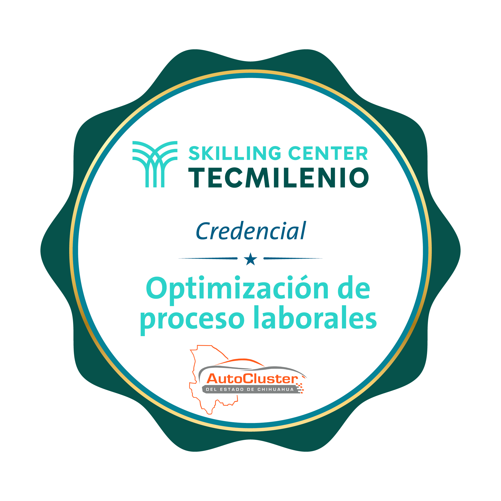 -Credencial Optimización de proceso laborales