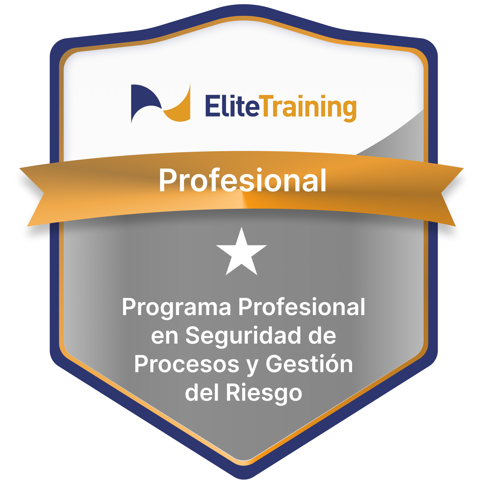 Programa Profesional en Seguridad de Procesos y Gestión del Riesgo.