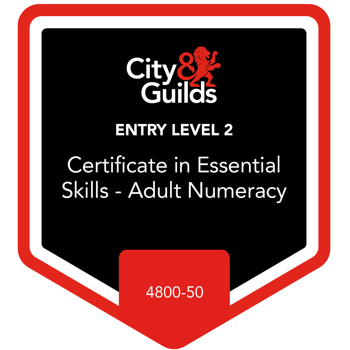 Entry Level Certificate in Essential Skills - Adult Numeracy (Entry 2) (4800-50)