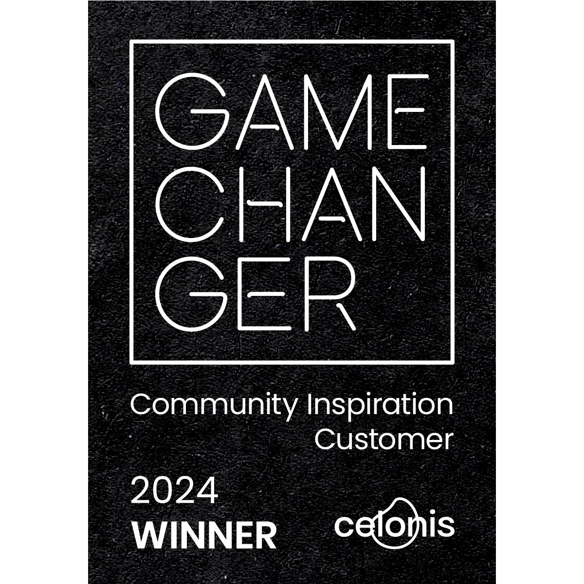 Game Changer 2024 Winner - Community Inspiration - Customer