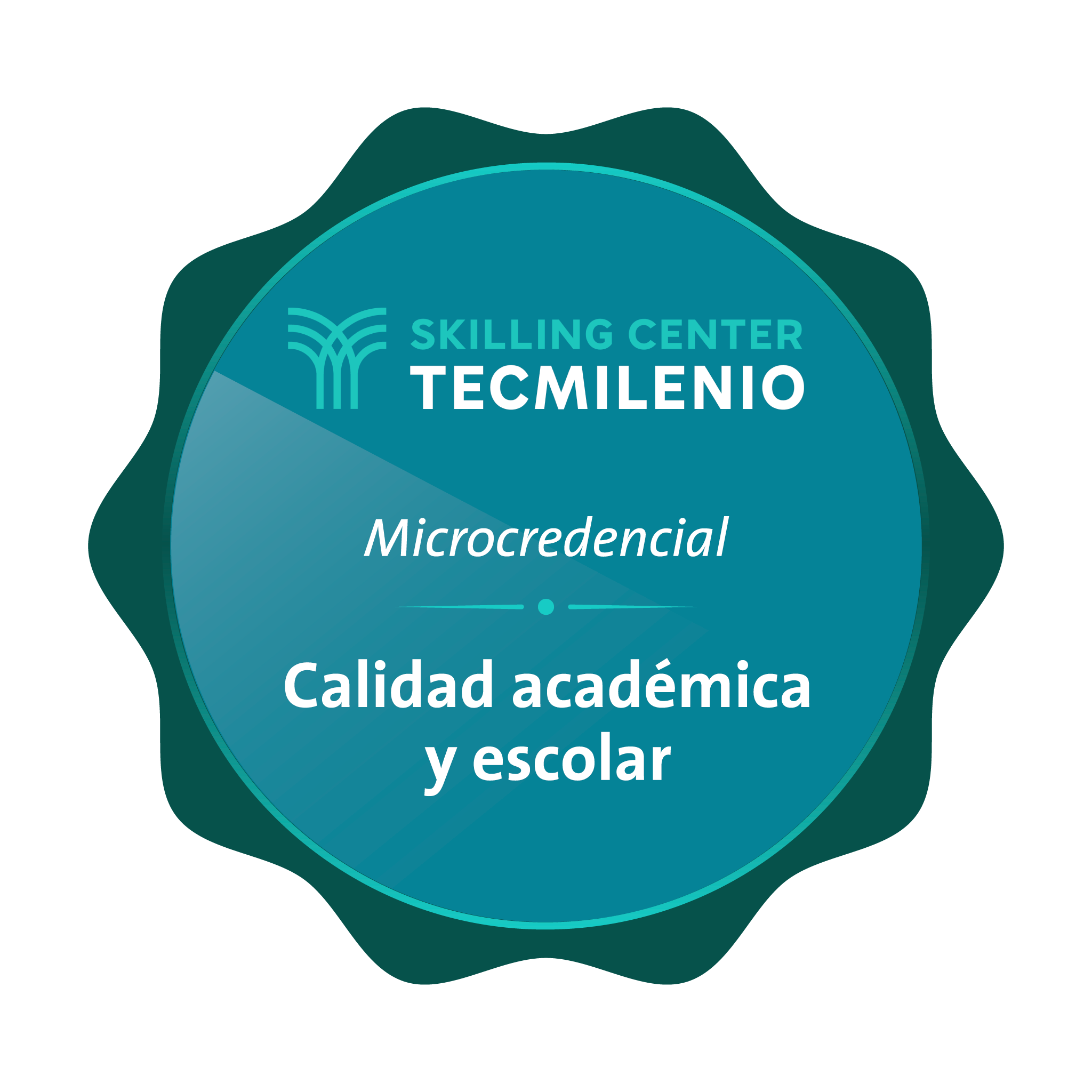 Microcredencial Calidad académica y escolar