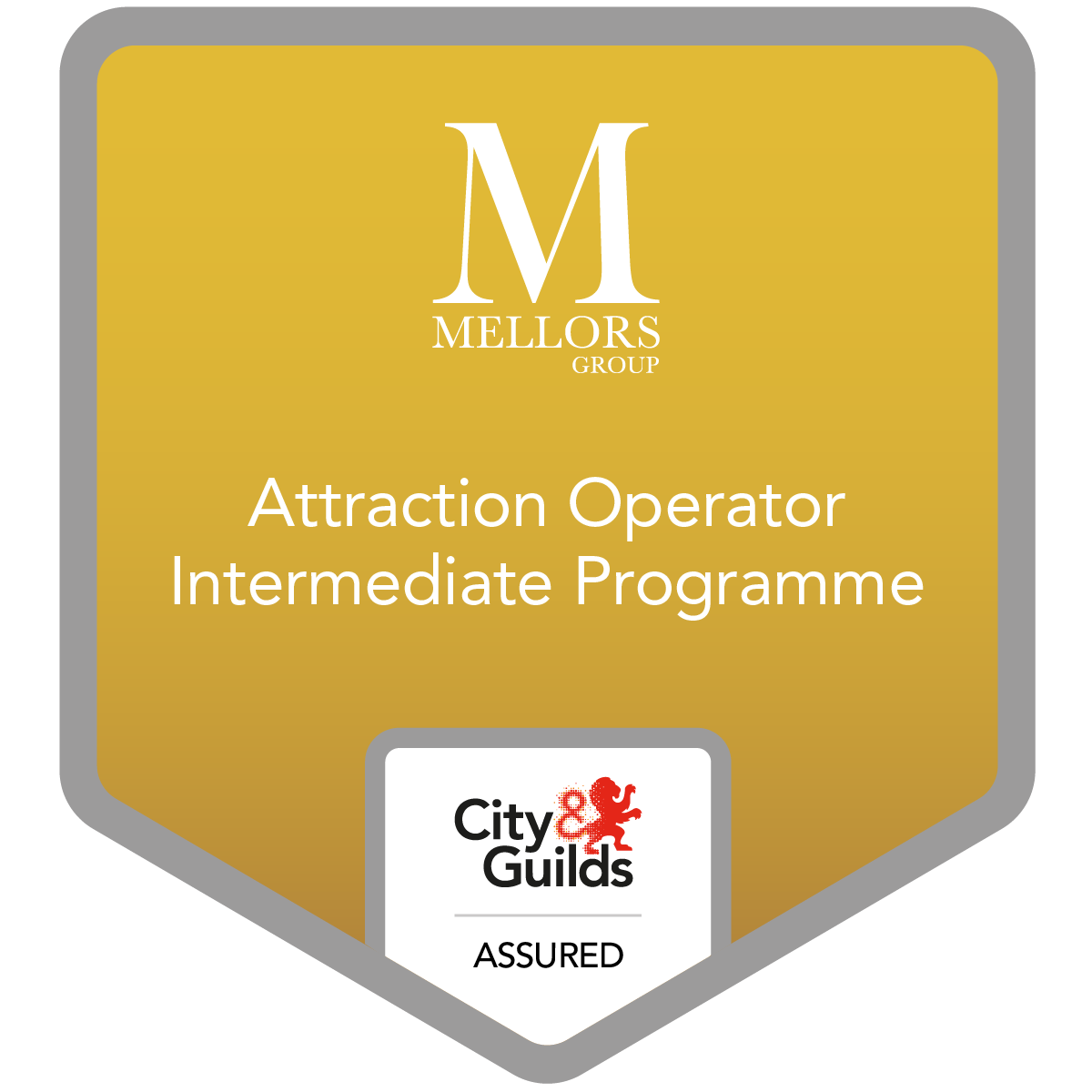 Mellors Group - Attraction Operator Intermediate Programme