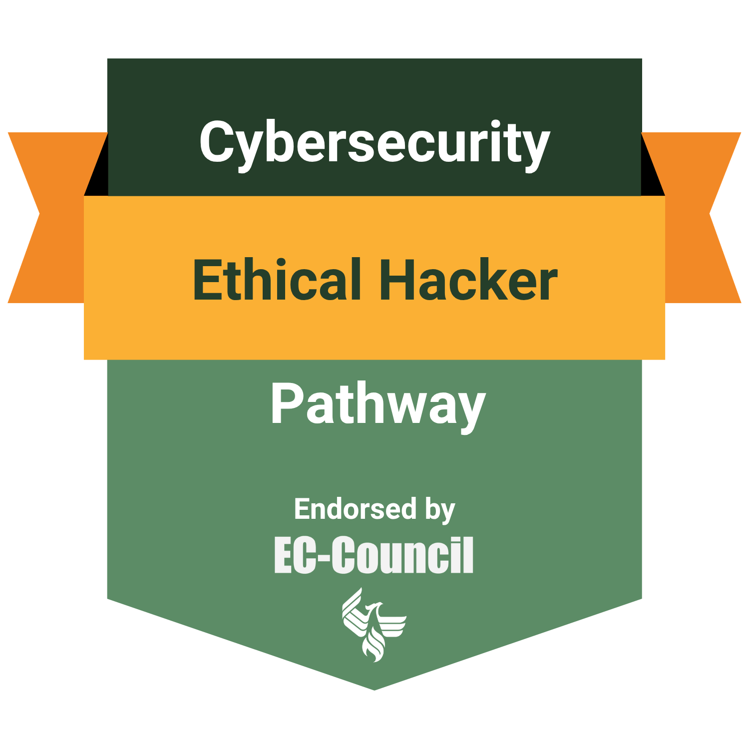 Ethical Hacker Pathway