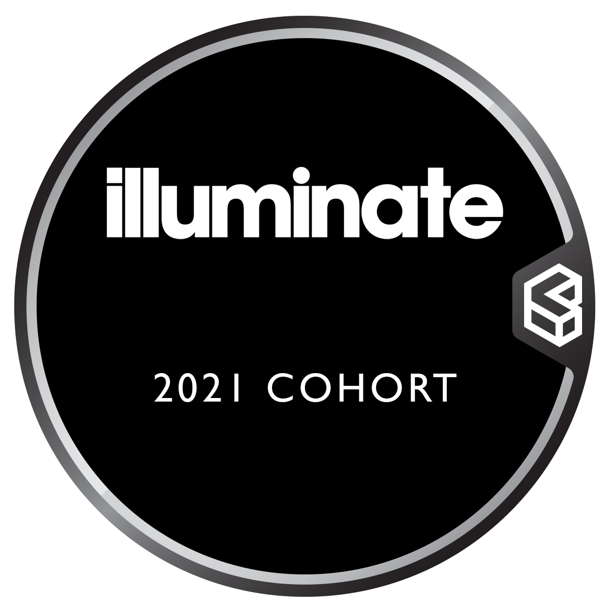 Illuminate Light Festival Successful Applicant