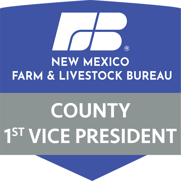 NMF&LB County 1st Vice President