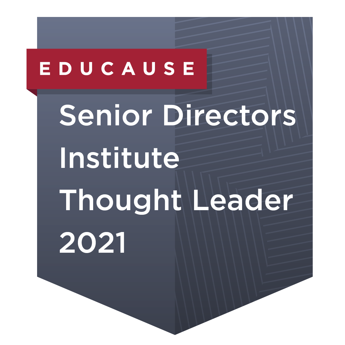 Senior Directors Institute Thought Leader 2021