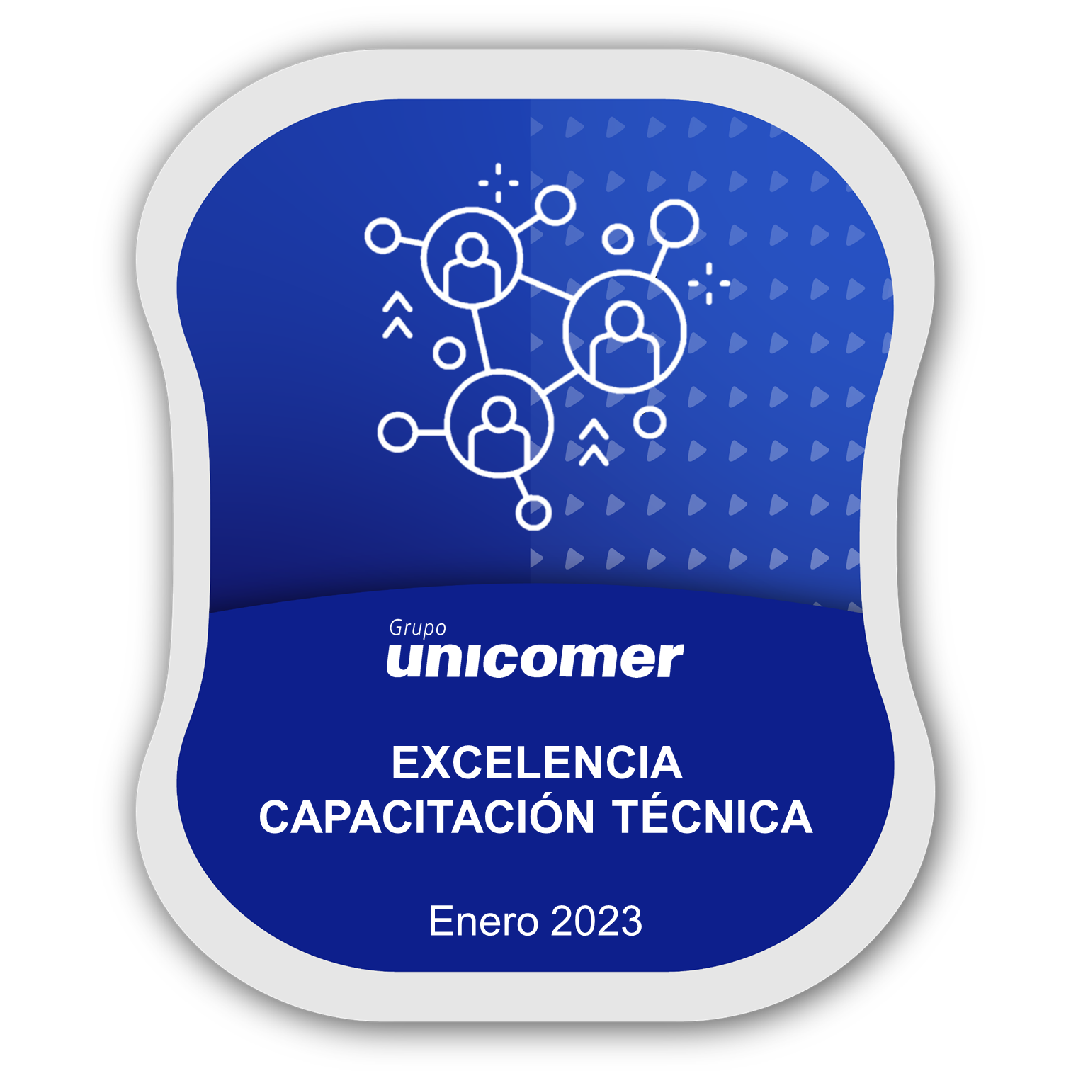 Excelencia Capacitación Técnica