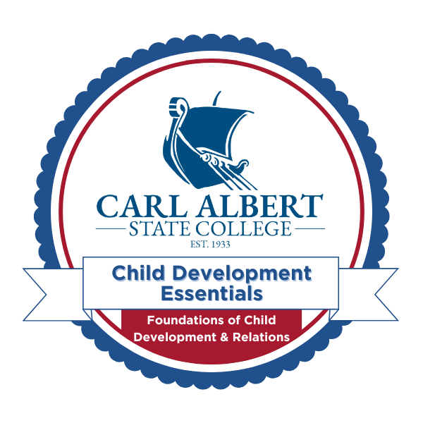 Child Development Essentials: Foundations of Child Development and Relations