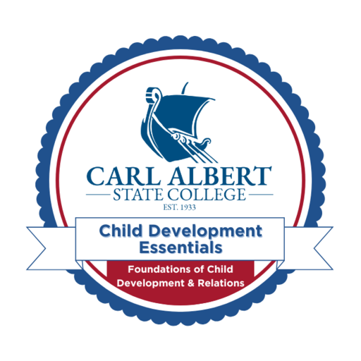 Child Development Essentials: Foundations of Child Development and ...