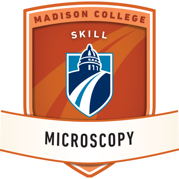 Microscopy (v.01)