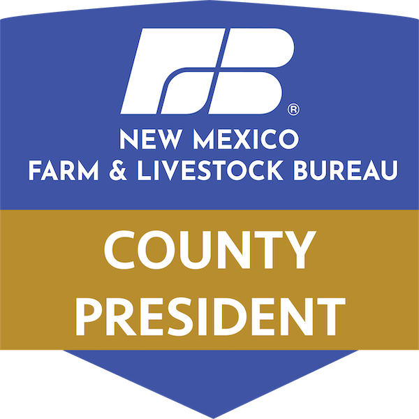 NMF&LB County President
