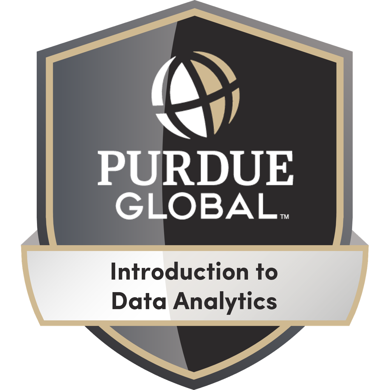 Introduction to Data Analytics Micro-credential - Credly