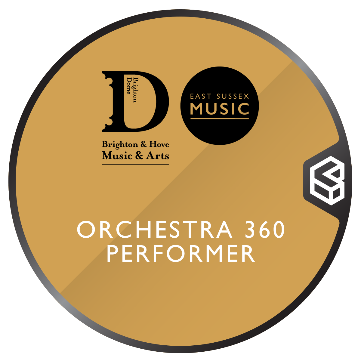 Brighton & Hove Music & Arts Orchestra 360 Performer