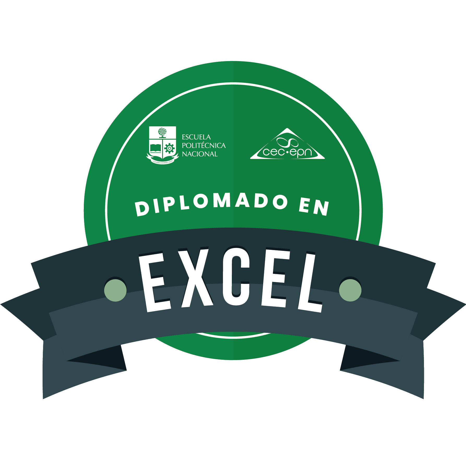 Diplomado en Excel