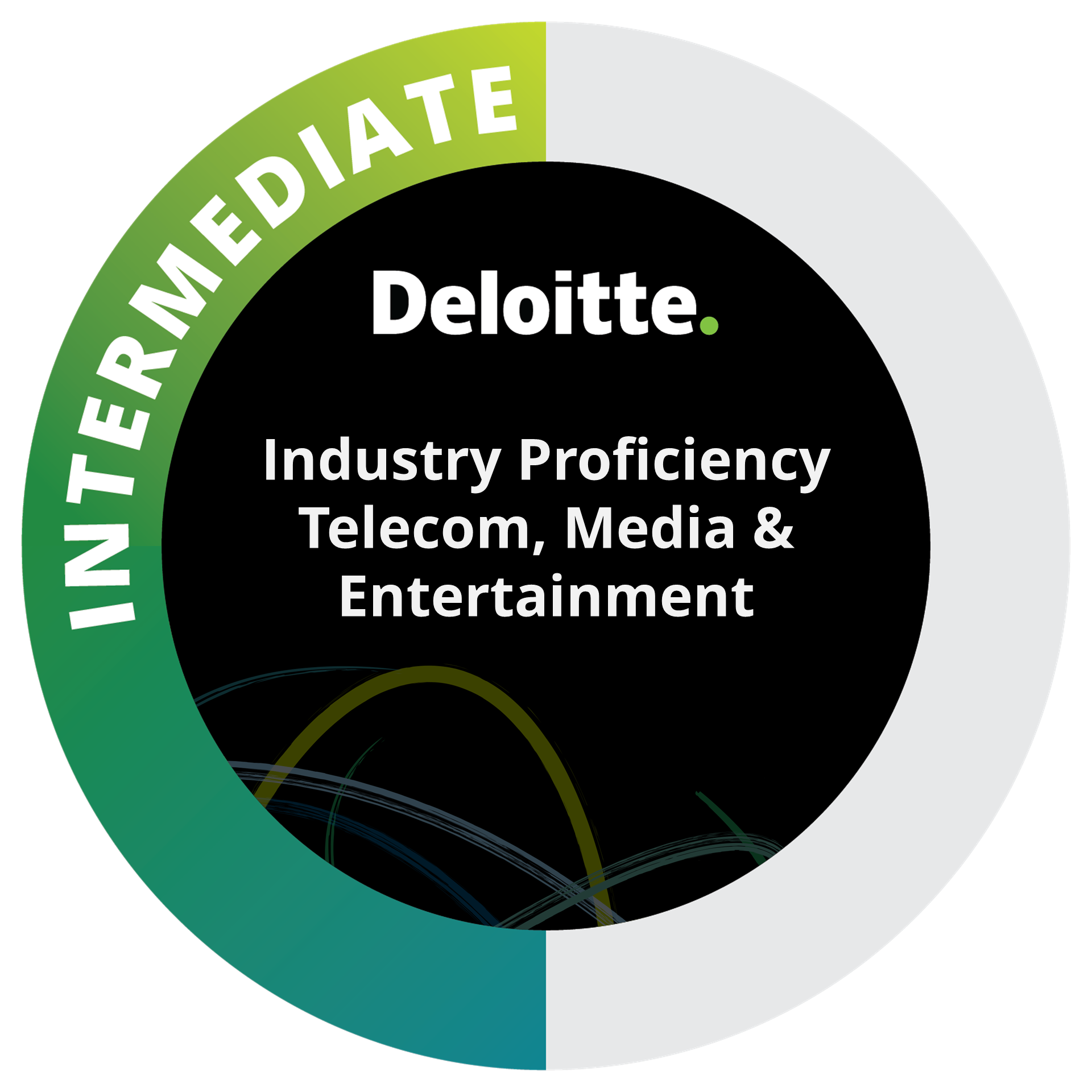 Industry Proficiency Intermediate: Telecom, Media & Entertainment