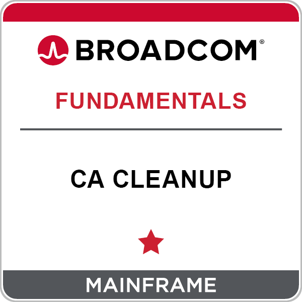 CA Cleanup - Key Concepts