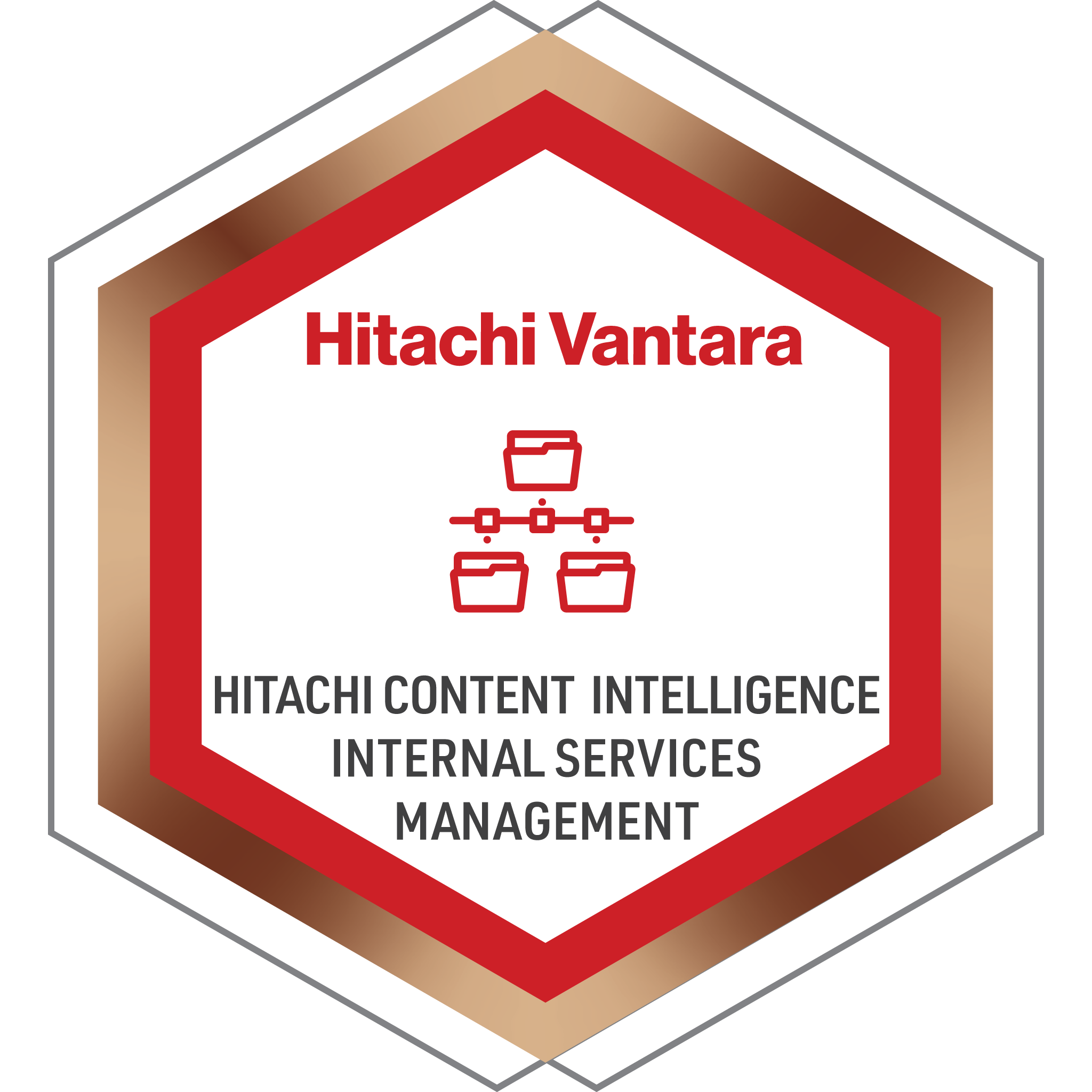 Hitachi Content Intelligence Internal Services Management