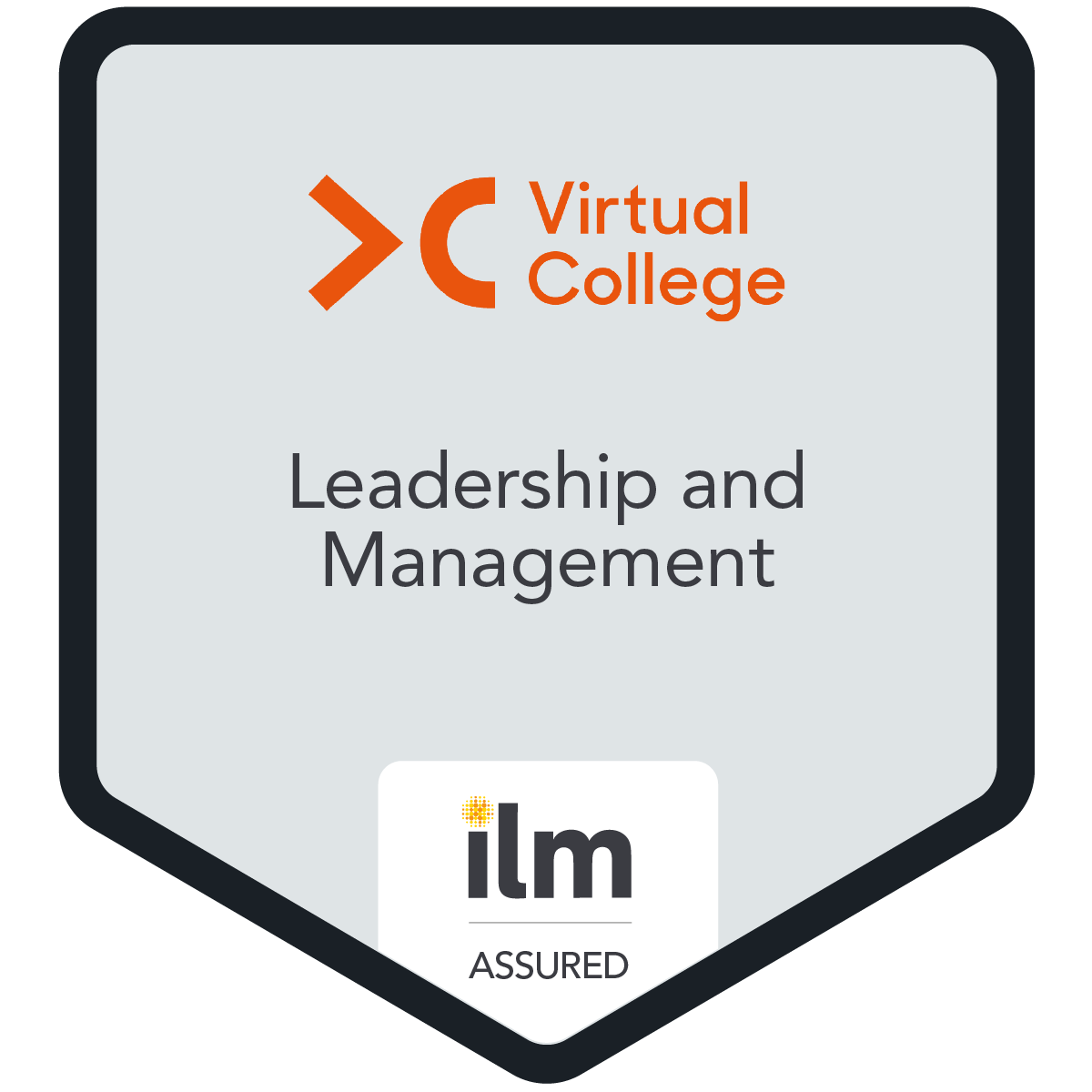 Leadership and Management On-line Training Package - Virtual College