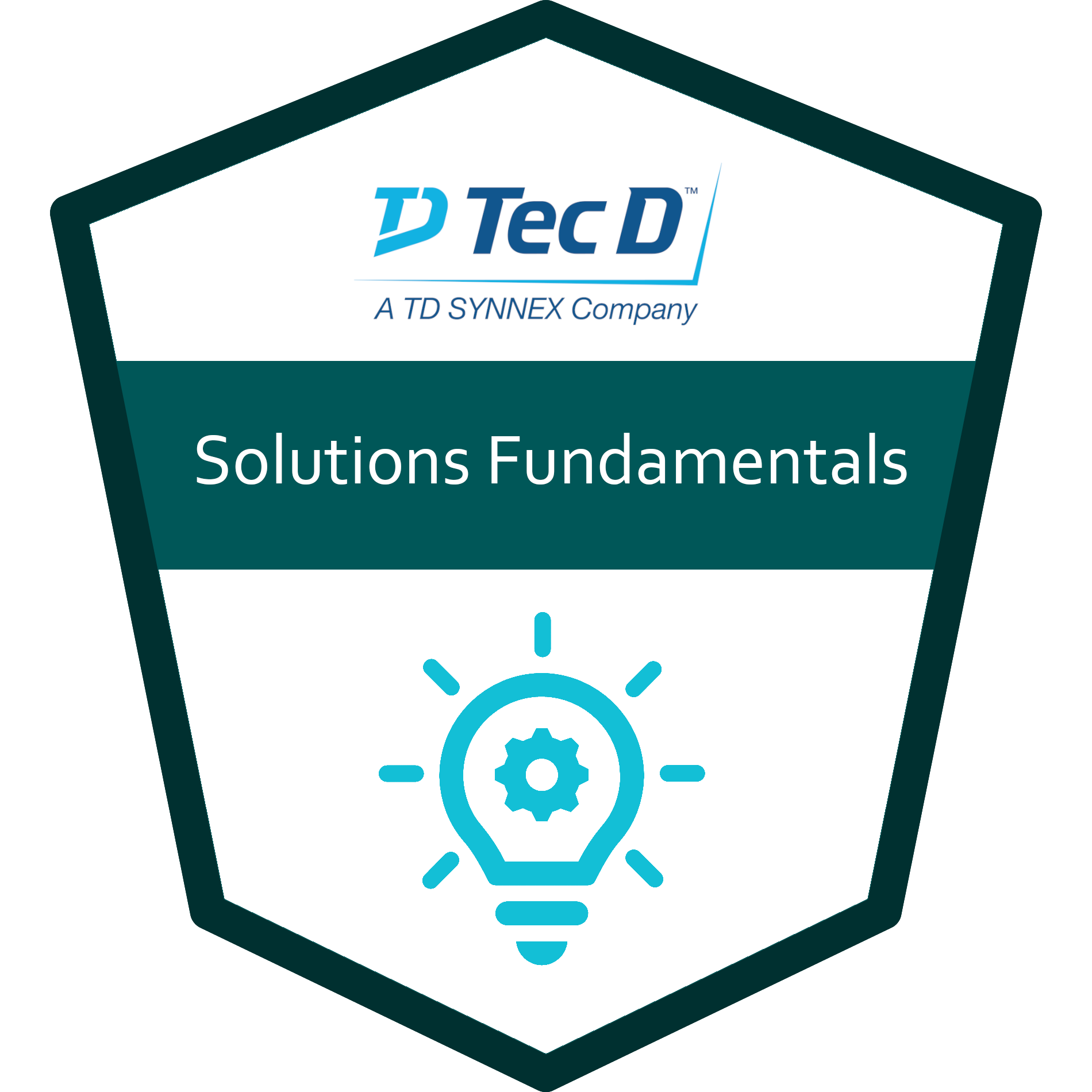 Tec D - Solutions Fundamentals
