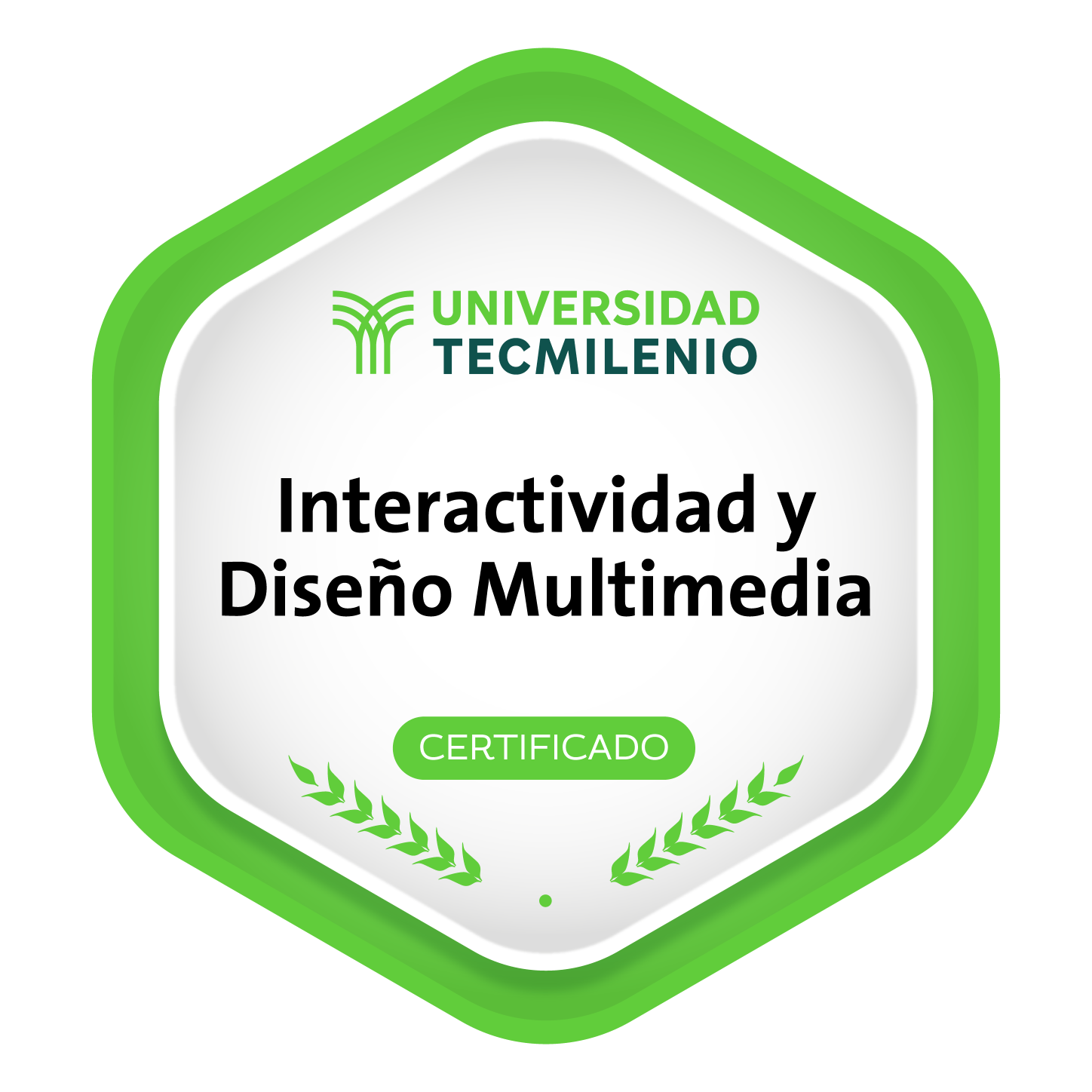 Interactividad y Diseño Multimedia