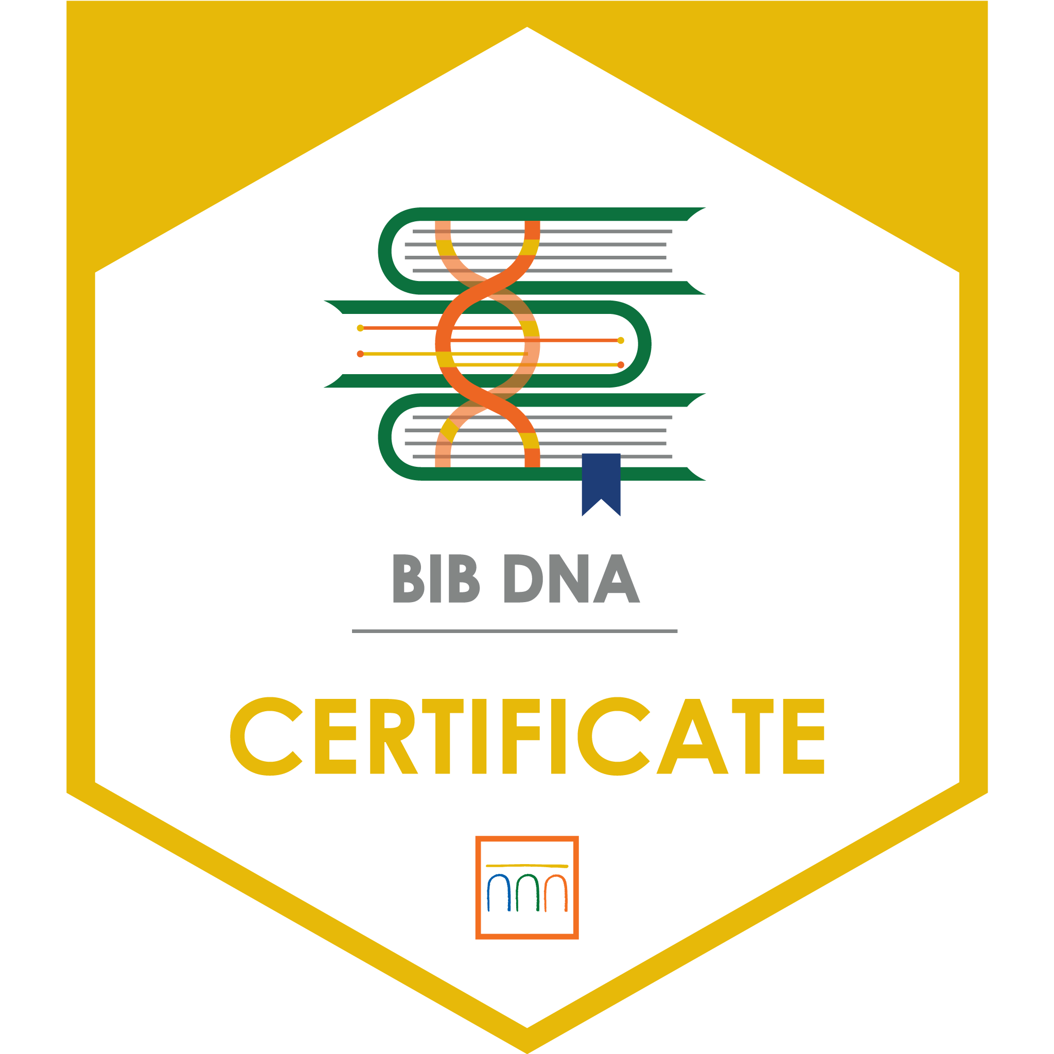 BIB DNA