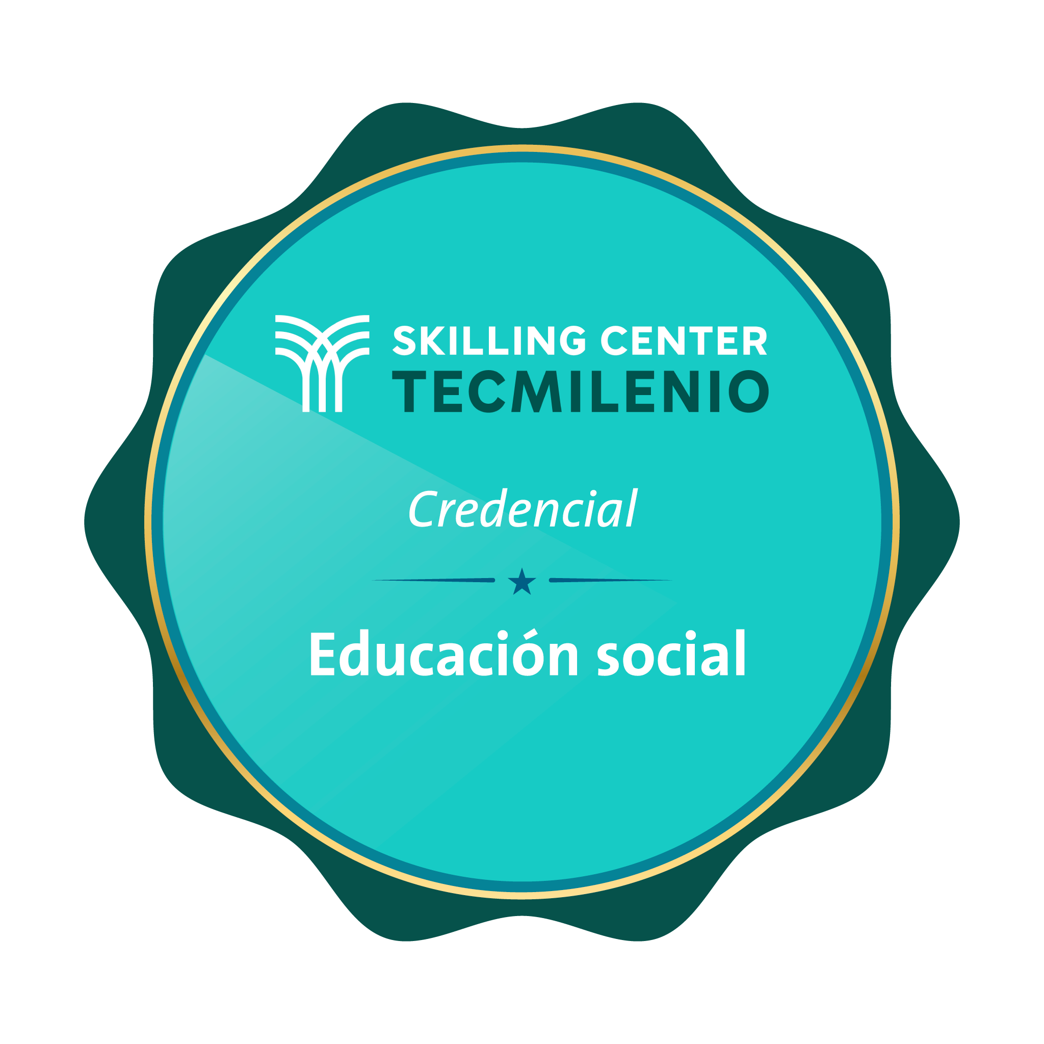 Credencial Educación social