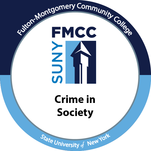 Crime in Society