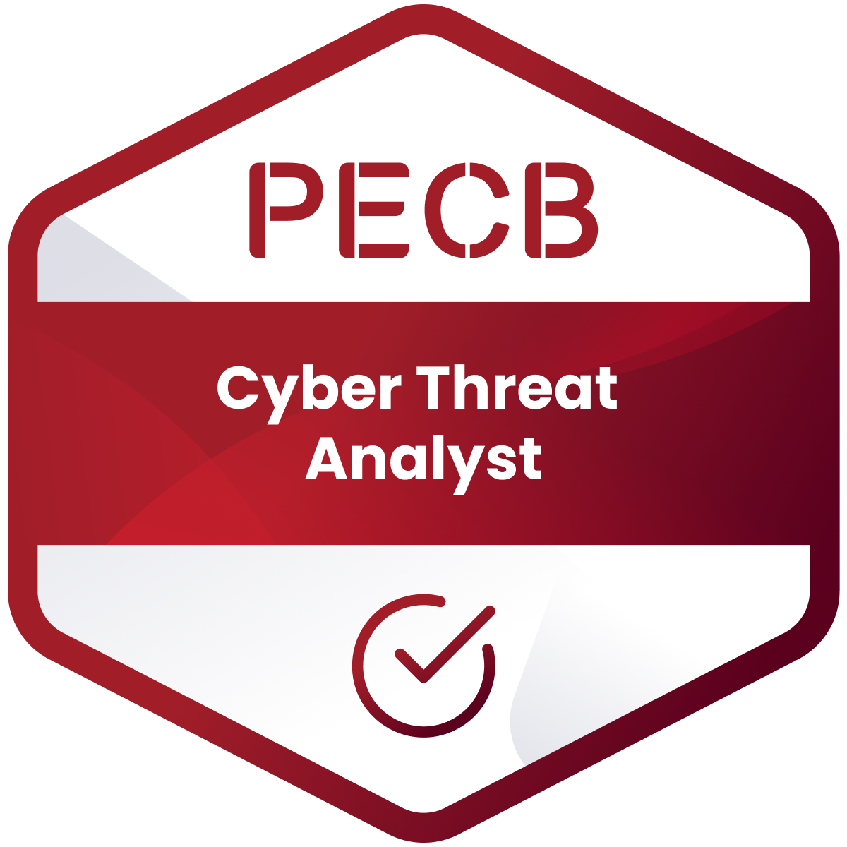 Cyber Threat Analyst