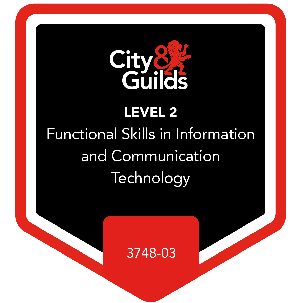 Functional Skills in Information and Communication Technology (ICT) at Level 2 - 3748-03