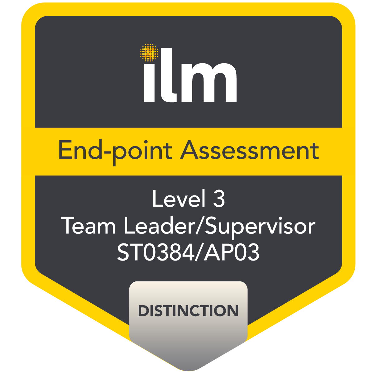 9308-12 Level 3 End-point Assessment for ST0384/AP03 Team Leader/Supervisor - (Distinction)