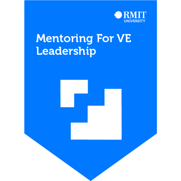 Mentoring For VE Leadership