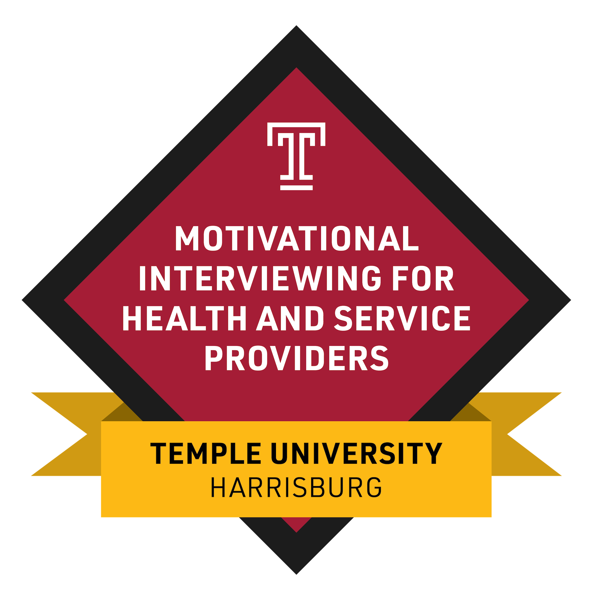 Motivational Interviewing for Health and Service Providers