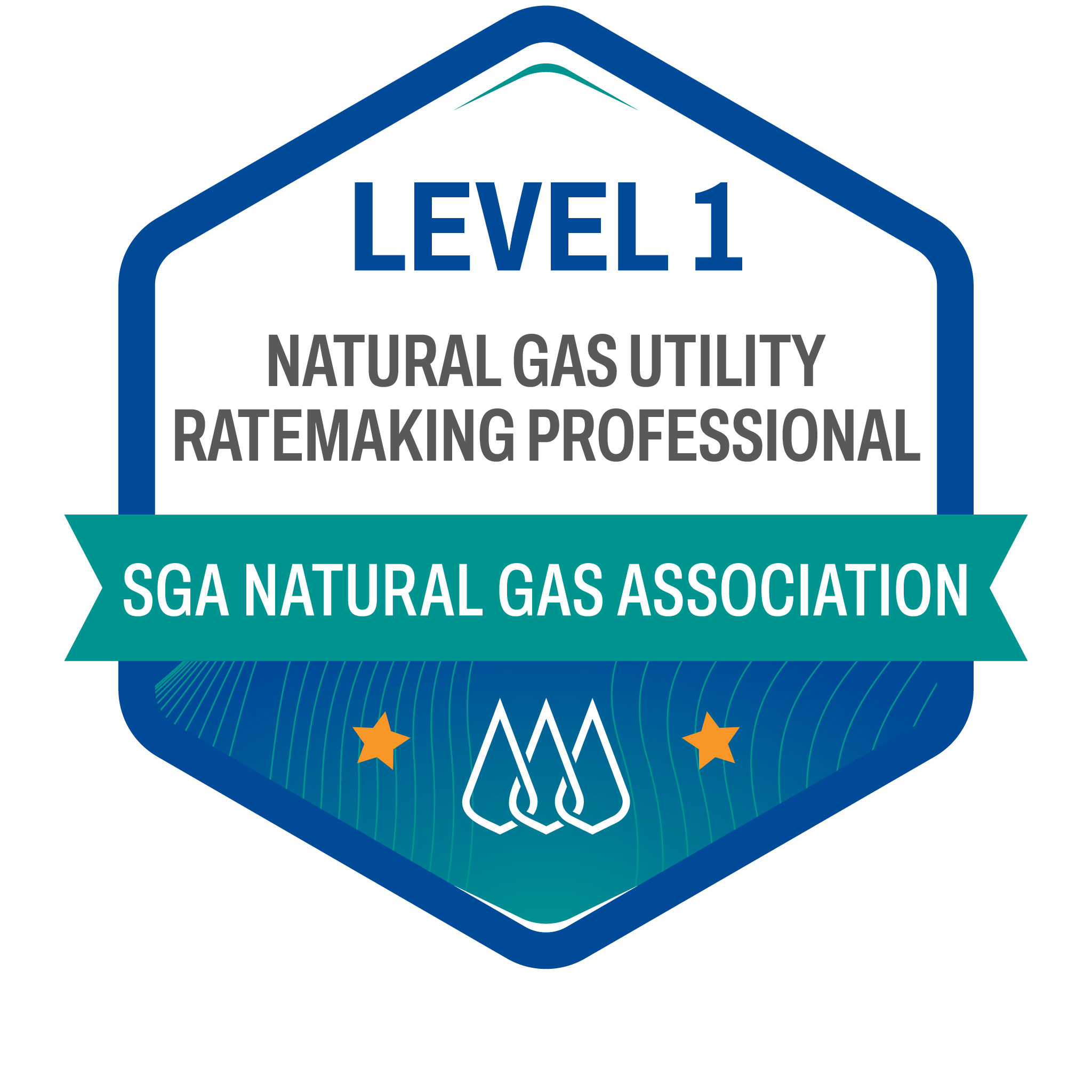 Level 1 Natural Gas Utility Ratemaking Professional