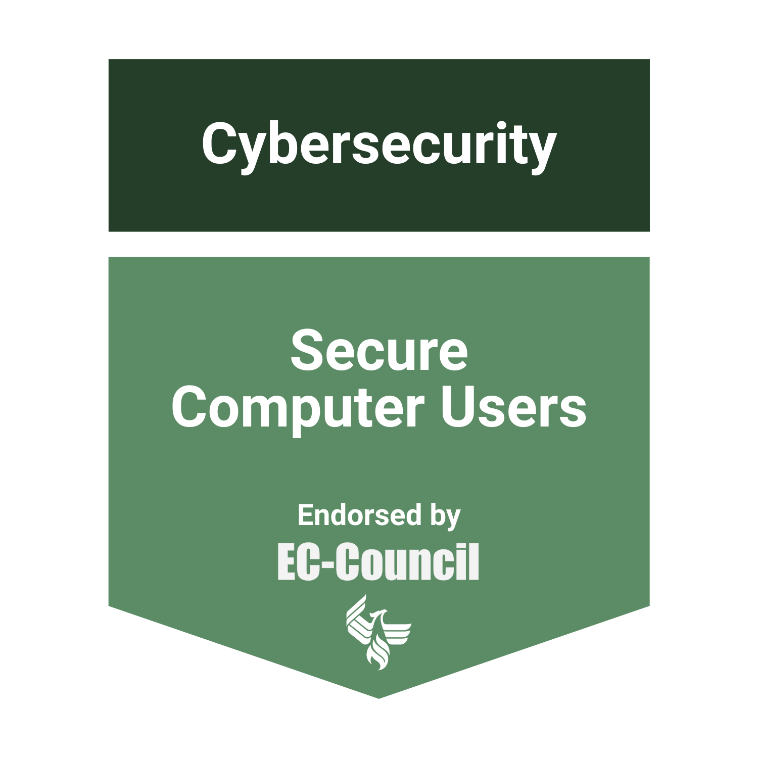 Secure Computer User