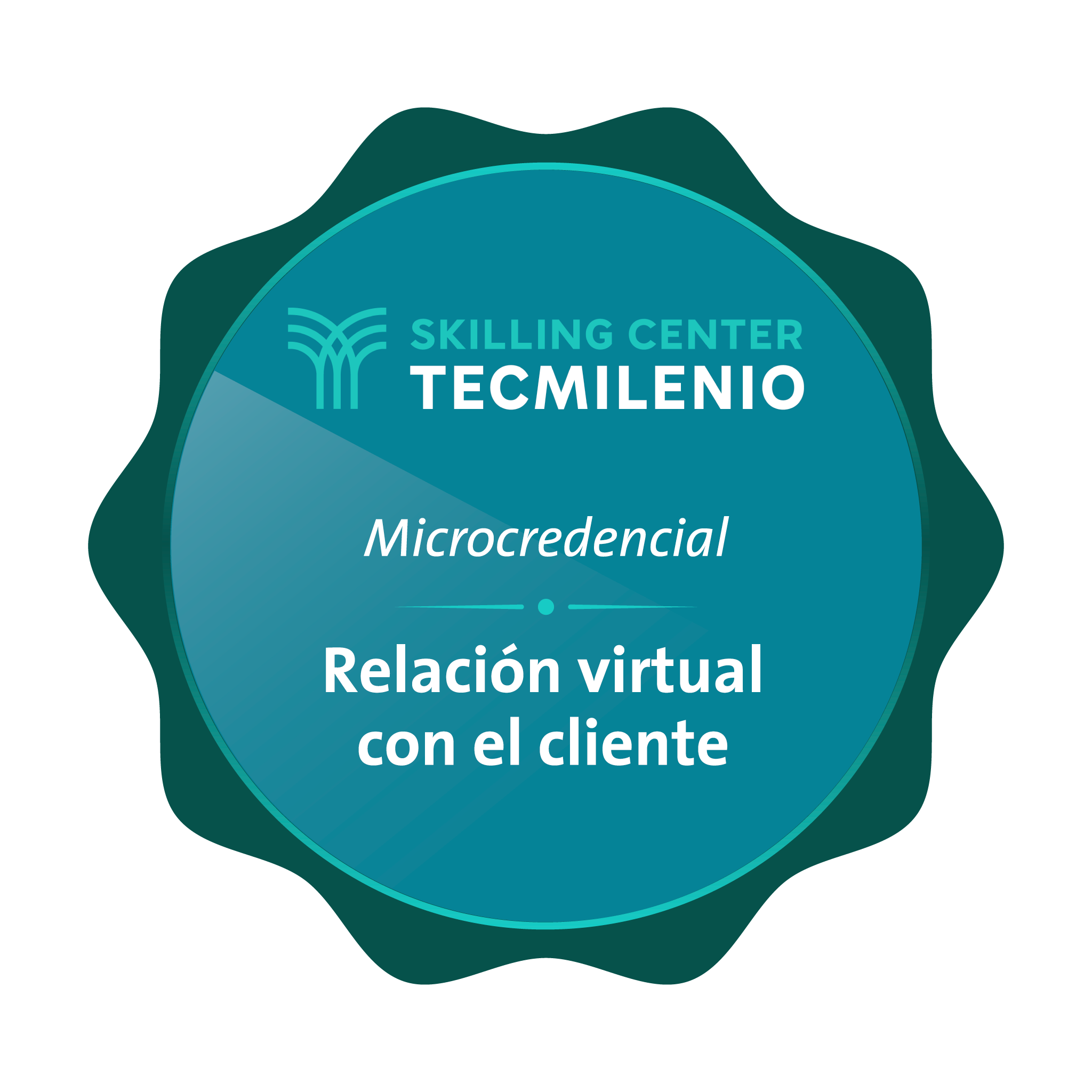 Microcredencial Relación Virtual con el Cliente